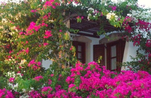 Kastraki Apartamento | Dimitra Studios