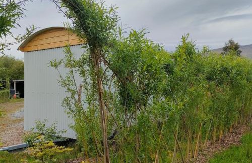 Annascaul Otro | Dingle Way Glamping DANÚ Annascaul