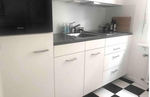 Basel City Centre Apartamento | Directly on the Rhine: 40 sqm - BLUE LOUNGE apartment