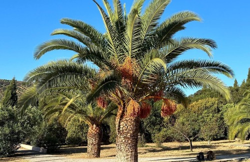 Olvera Cabaña | Discover Olvera and the wonderful surroundings!
