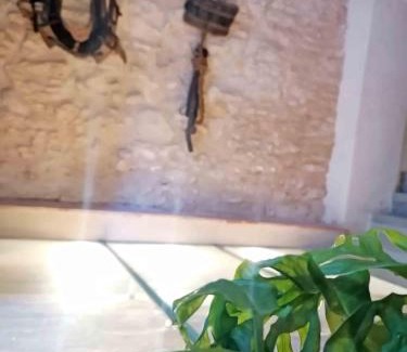 Nulles Casa | Disfruta de una escapada Rural en Ca la Lola