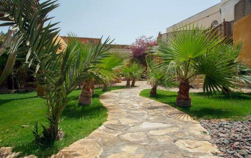 Dahab Hotel | Dive Urge