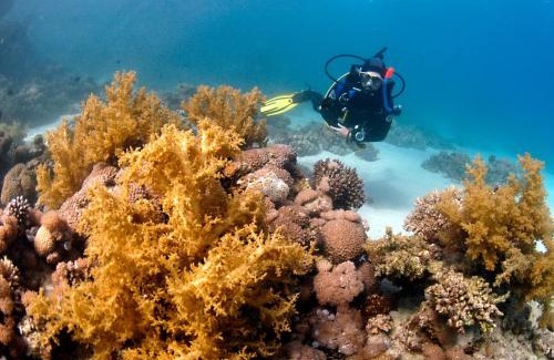 Dahab Hotel | Dive Urge