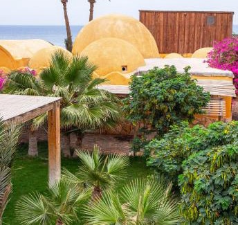 Dahab Hotel | Dive Urge