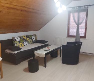 Soko Banja Apartamento | Djokić 2 sa bazenom