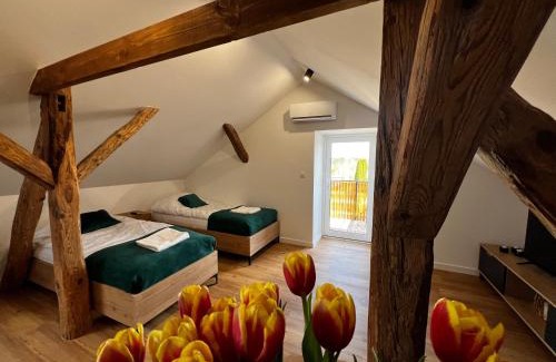 Olsztynek Apartamento | Do Brzegu Lepiej - Siedlisko Jemiołowo - Apartamenty Blisko Jeziora