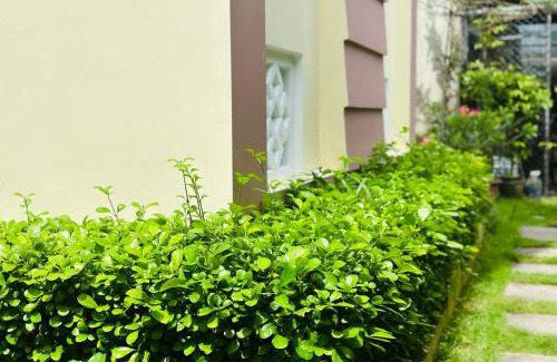 Cam Chau Casa | Do River Homestay
