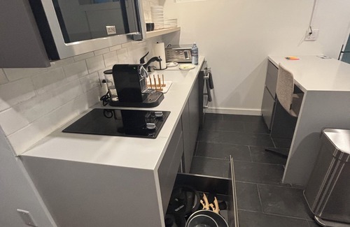 Aspen Apartamento | Dog-friendly apartment in Aspen with EV Charger