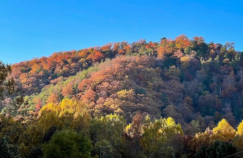 Seymour Apartamento | Dog-friendly apartment with mountain view, fireplace, central AC, firepit, & W/D