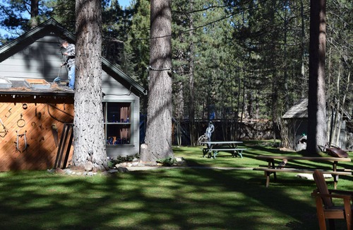 Bijou Park Cabina | Cabañas amigables para perros