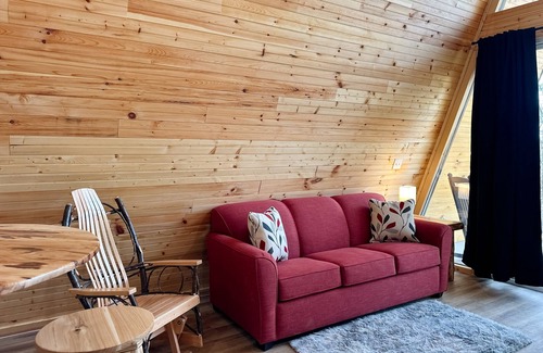 Newport Cabina | Dog-friendly cabin with mountain views, loft, & kitchen - near Douglas Lake
