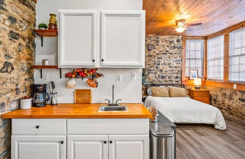 Luray Apartamento | Dog-Friendly Downtown Studio — Walk to Park, Shops