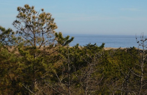 Bethany Beach Casa | Dog Friendly. End unit-one from beach. State park 32IH