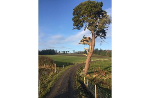 Abergele Casa | Dog friendly farmhouse with hot tub