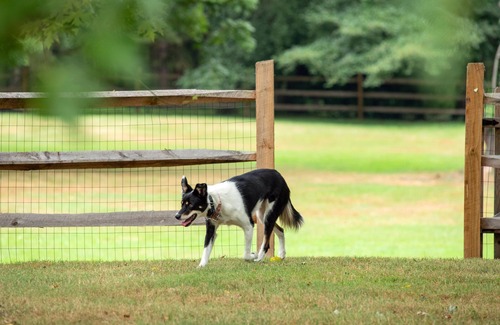 Bensalem Cabaña | Dog friendly hideaway in Bucks County near River