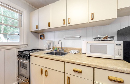 Flat Rock Apartamento | Dog-friendly lakefront condo with pool, canoes, & WiFi - in a perfect location