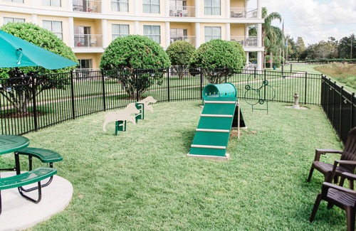 Celebration Apartamento | Dog-Friendly One-Bedroom Apartment near Disney