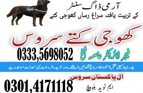 Jhang Sadar Apartamento | Dog walker