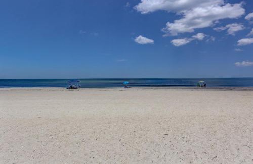 Ocean Cay Apartamento | DogFriendly Oceanfront Condo