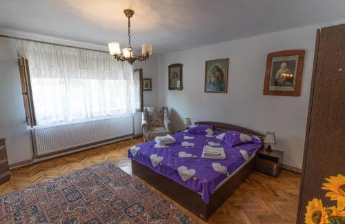 Alba Iulia Apartamento | Doi Bujori