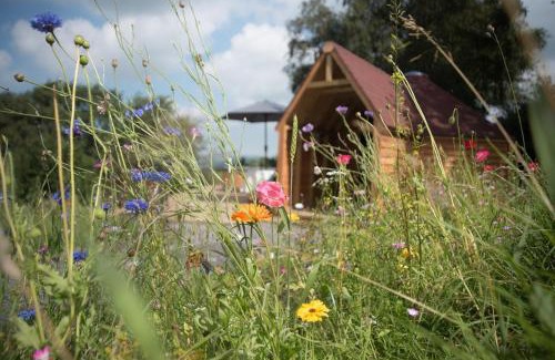 Abergele Casa | Dol Y Mynydd The Mountain Meadow - Cottage