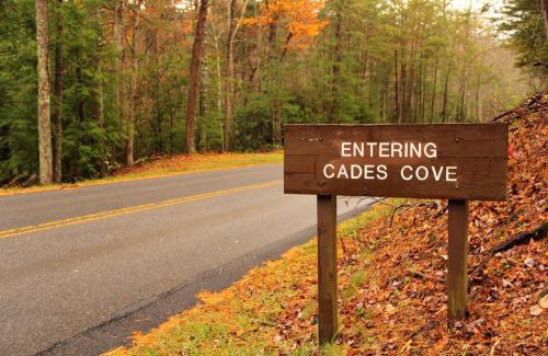 Caton Casa | Dolly's Cozy Cabin, Hot Tub, FREE Attraction tickets , Game Room, Theater Room, Firepit!
