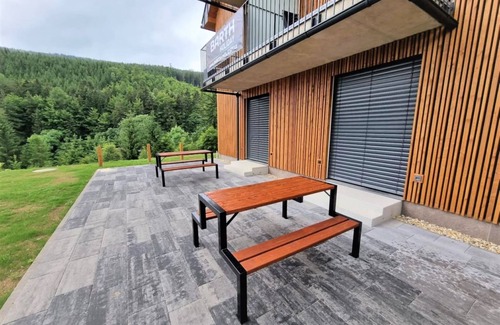 Dolni Morava Apartamento | Dolní Morava 1 by Interhome