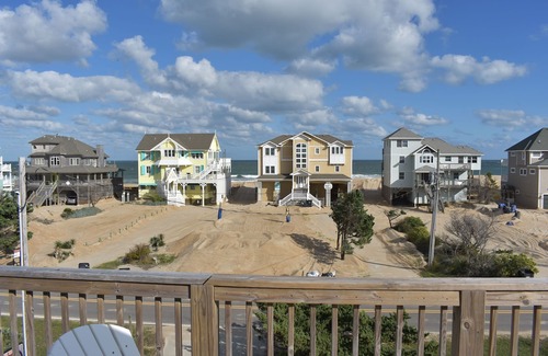 Avon Casa | Dolphin Delight