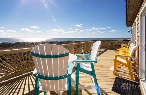 Frisco Casa | Dolphin Watch 224