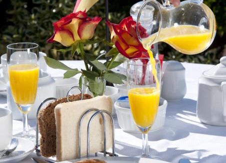 Robberg Beach Cama Y Desayuno | Dolphins' Playground Beachfront B&B