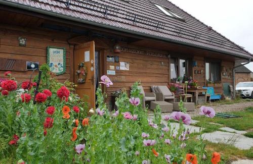 Karsibor Cama Y Desayuno | DOM GOŚCINNY PTASZARNIA - NATURA-Free PARKING