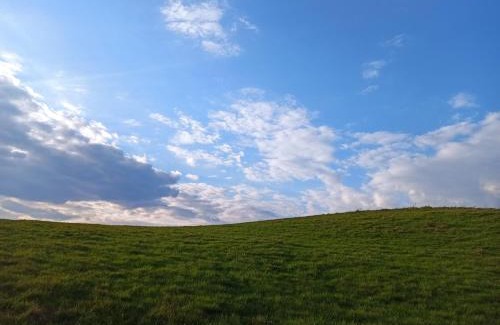 Jedwabno Casa | Dom na Mazurach z Widokiem Na Las