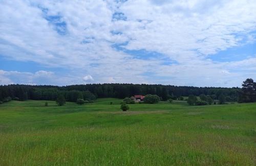 Jedwabno Casa | Dom na Mazurach z Widokiem Na Las