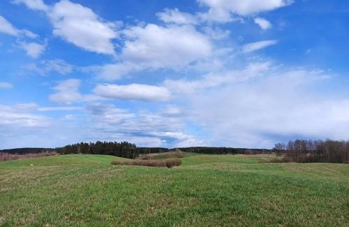 Jedwabno Casa | Dom na Mazurach z Widokiem Na Las
