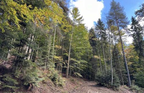 Krynica-Zdroj Casa | Dom na Skale