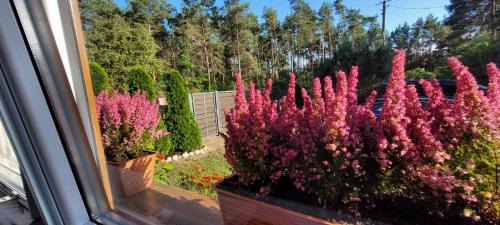 gmina Kramsk Casa | Dom Na Skarpie - Ucieczka Na Wieś - Samodzielne wejście na szyfr, 100m2
