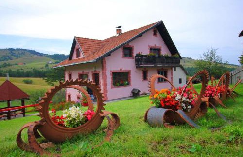 Zlatibor Apartamento | Domaćinstvo Spasenić
