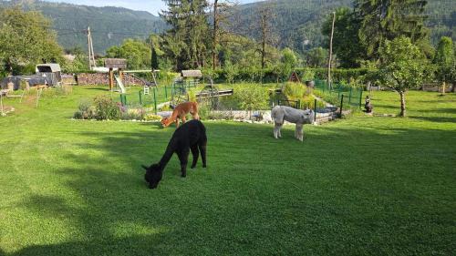 Bohinj Apartamento | Domačija Loncnar
