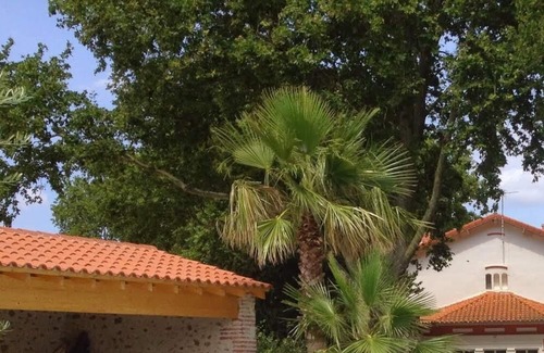 Saint-Genis Cabaña | Domaine Castell de Blés - Gîte "Vermeille"