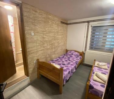 Stara Planina Casa | Domacinstvo Djordjevic