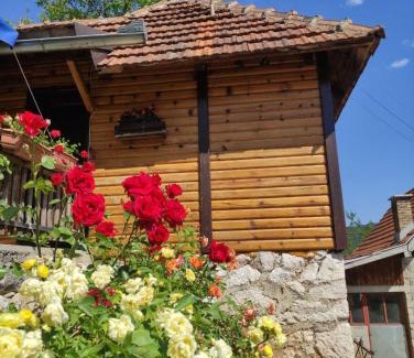 Zlatibor Casa | Domacinstvo Prentovic
