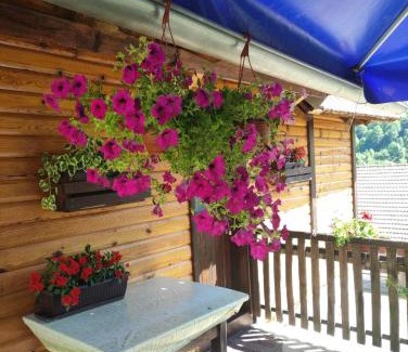 Zlatibor Casa | Domacinstvo Prentovic