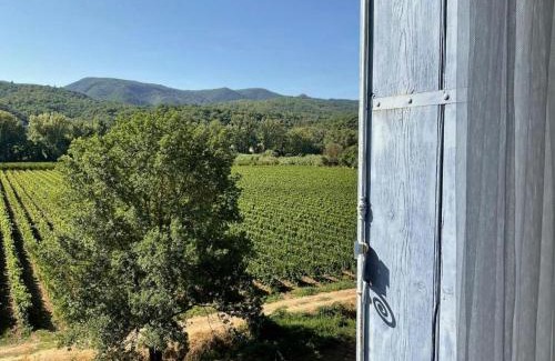 Lamalou-les-Bains Casa | Domain With Swimming Pool And Reception Room