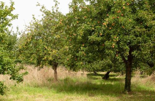 Landrevarzec Casa | Domaine 2 Gites 12 personnes