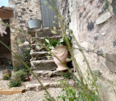 Caux Apartamento | Domaine Croix-Maro