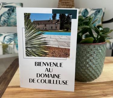 Saint-Laurent-Nouan Casa | Domaine de Couilleuse