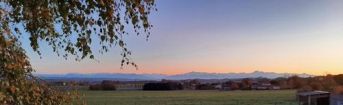 Duffort Otro | Domaine de la Cambre