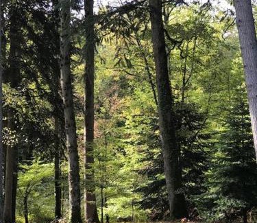 Lunay Casa | Domaine de la Vaudouriere