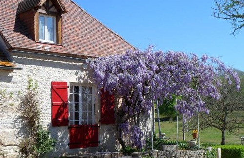 Martel Casa | Domaine de La Vaysse