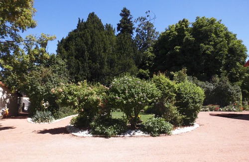 Pouilly-les-Nonains Casa | Mansión con parquet cerrado, de 1 hectárea y plantado con árboles (42155, Monts du Forez)